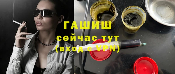 дмт Дмитров