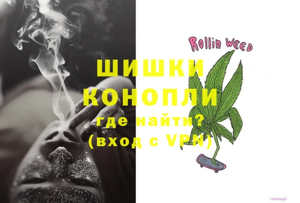 дмт Дмитров