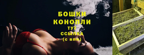 дживик Дмитриев