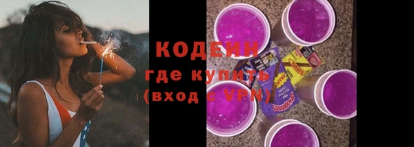 дмт Дмитров