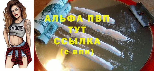 дмт Дмитров