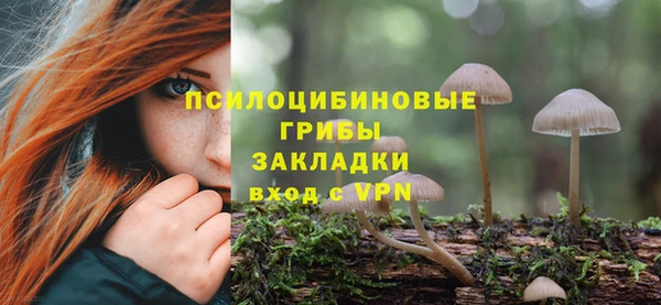 экстази Дмитровск