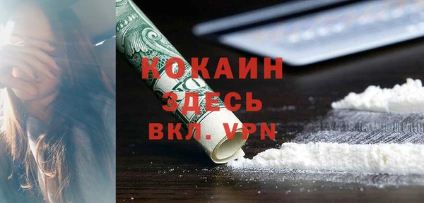 дмт Дмитров