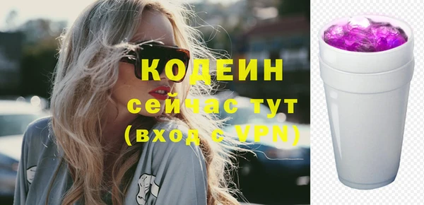 дмт Дмитров