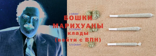 дмт Дмитров