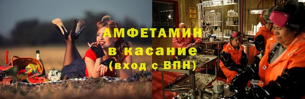 дмт Дмитров