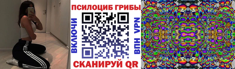 Галлюциногенные грибы мицелий  Купить  Пошехонье 